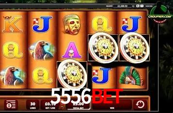 Interface Premium 5556BET